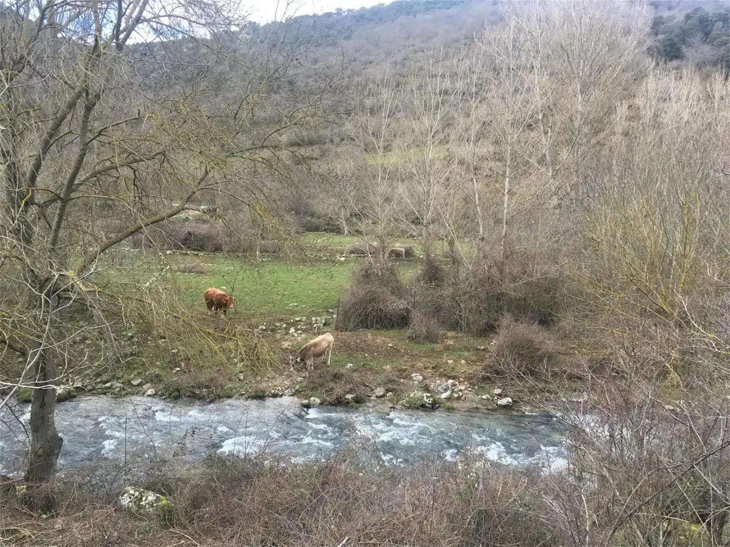 Vista exterior de Terreno en venta en Viniegra de Abajo