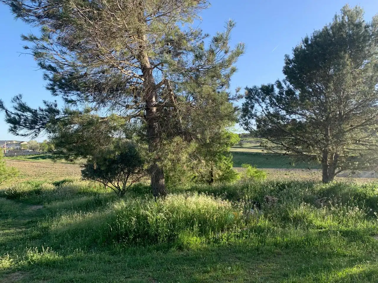 Terreni e lotti in vendita a Carrascosa, imagen 16