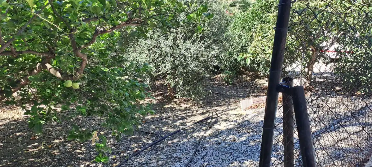 Maison rustique à vendre à Ulea, imagen 11