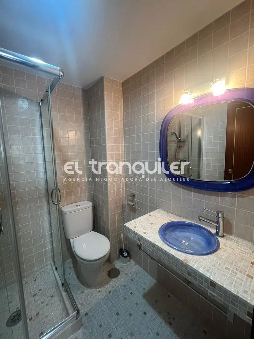 Bathroom of Flat for rent in Madrid  with Parquet flooring, Terrace and Washing machine