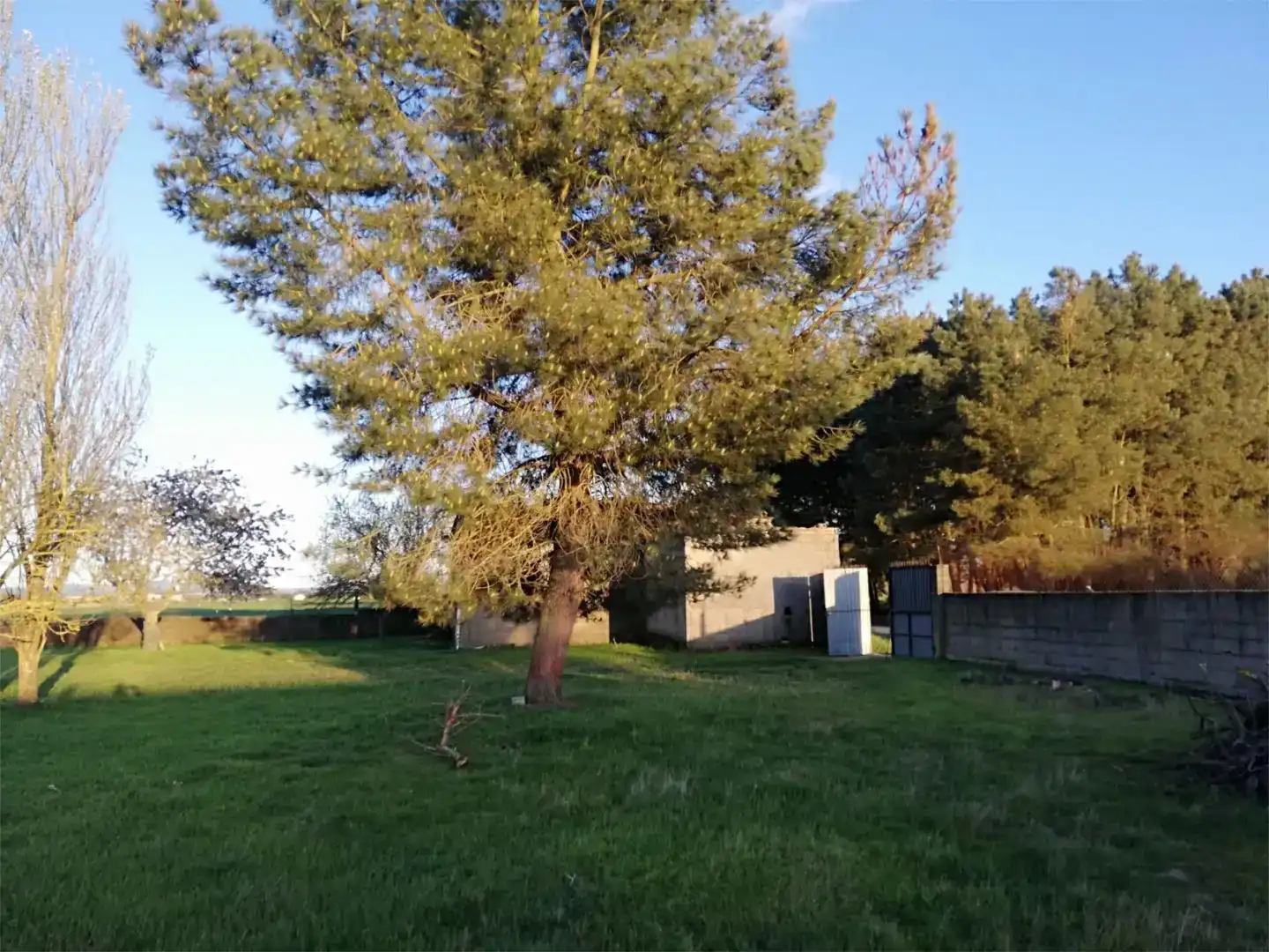Finca rústica en venda en Xinzo de Limia