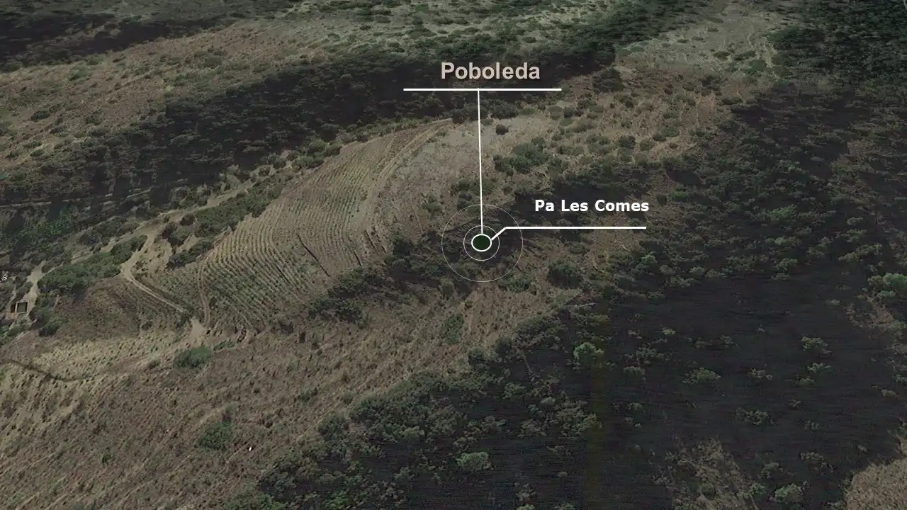 Rustikales Grundstück zum Verkauf in Pa Les Comes, imagen 4