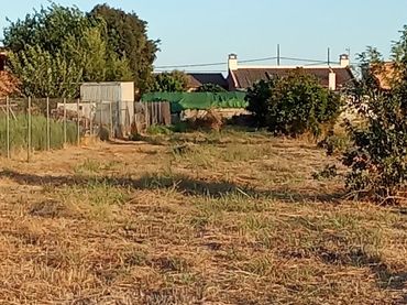 Rural land for sale in Poligono 9 parcela 142 LOS MOCHOS