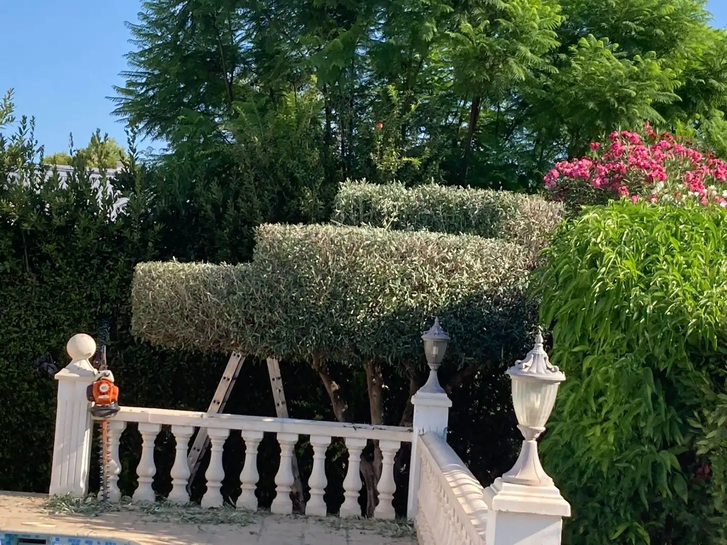Garten von Haus oder Chalet zum Verkauf in L'Alfàs del Pi mit Klimaanlage, Privatgarten und Terrasse