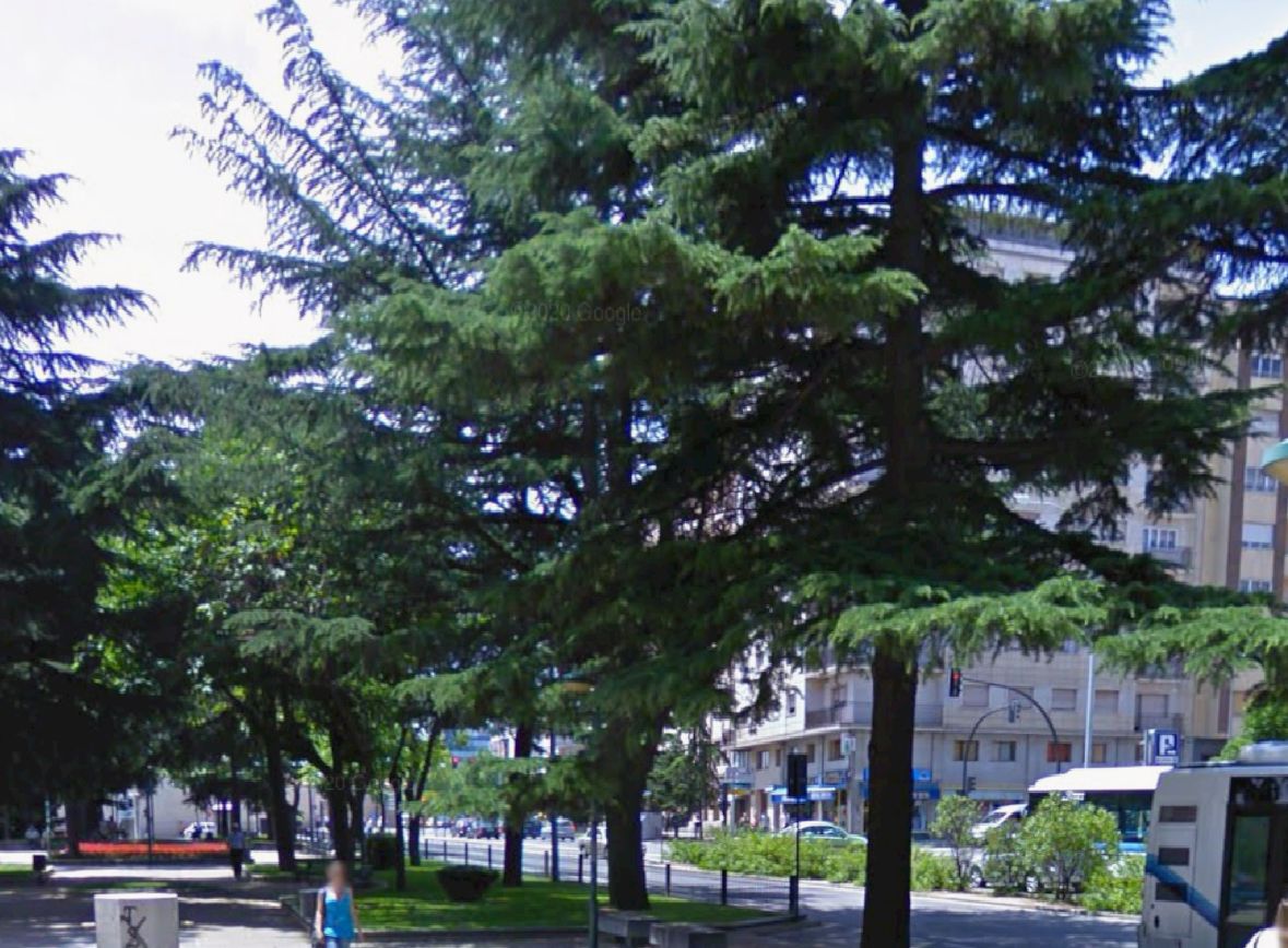 Flat for rent in Paseo de Carmelitas, San Vicente - Las Úrsulas, Centro