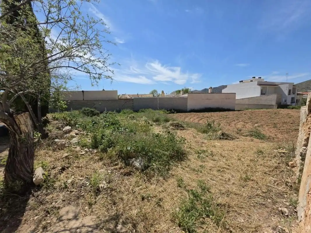Terreny residencial en venda a Hondón de las Nieves / El Fondó de les Neus, imagen 2