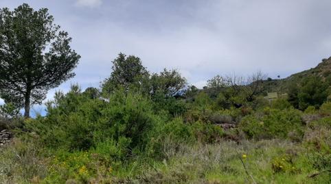 Foto 3 de Finca rústica en venta en La Vall d'Uixó, Castellón