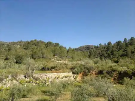 Terrain rustique à vendre à Ptda Viña Vieja, imagen 6
