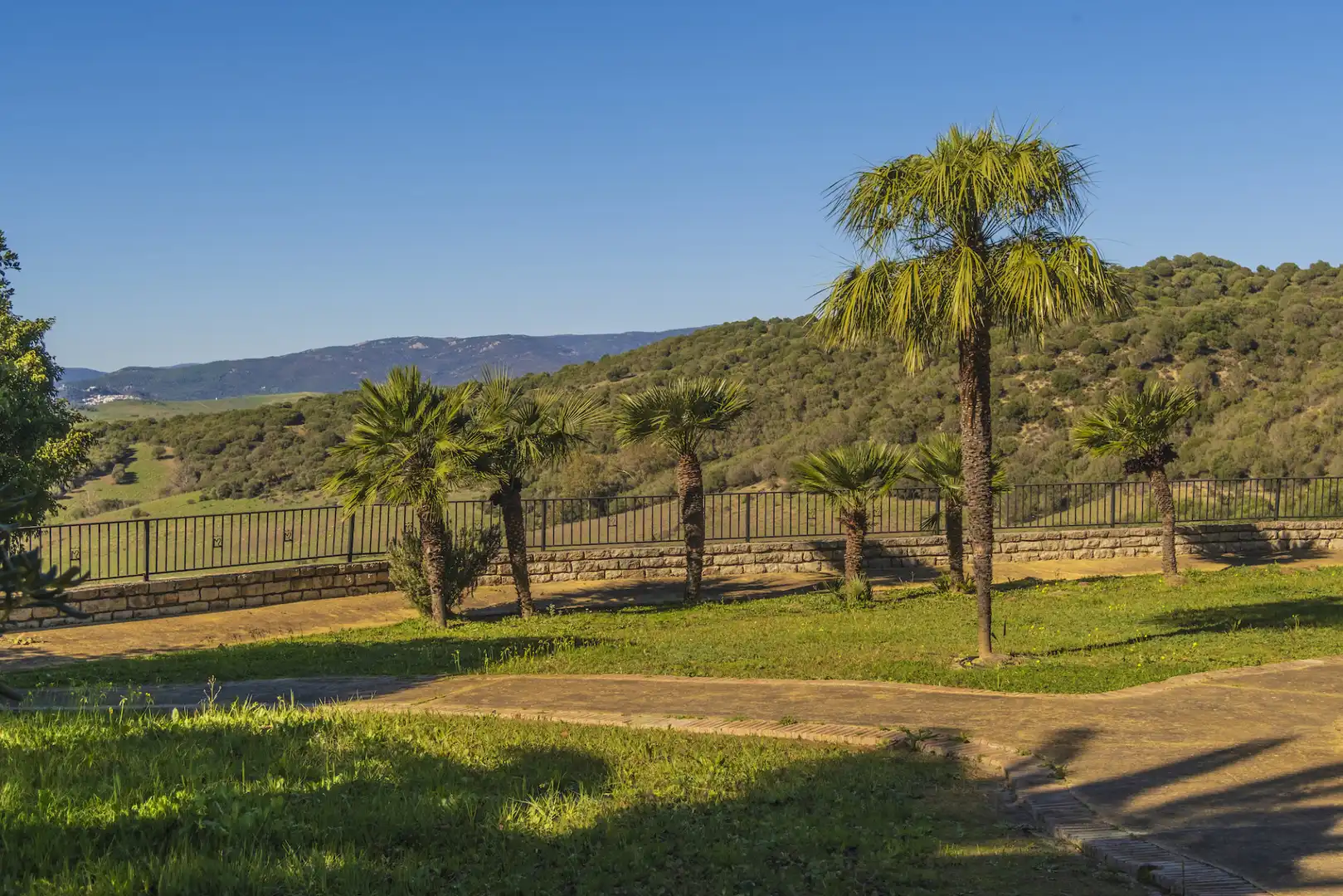 Jardí de Finca rústica en venda en San Martín del Tesorillo amb Aire condicionat, Jardí privat i Terrassa