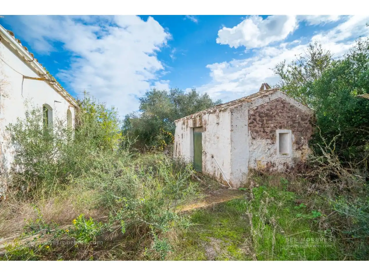 Terreny rústic en venda a Es Mercadal poble, imagen 4