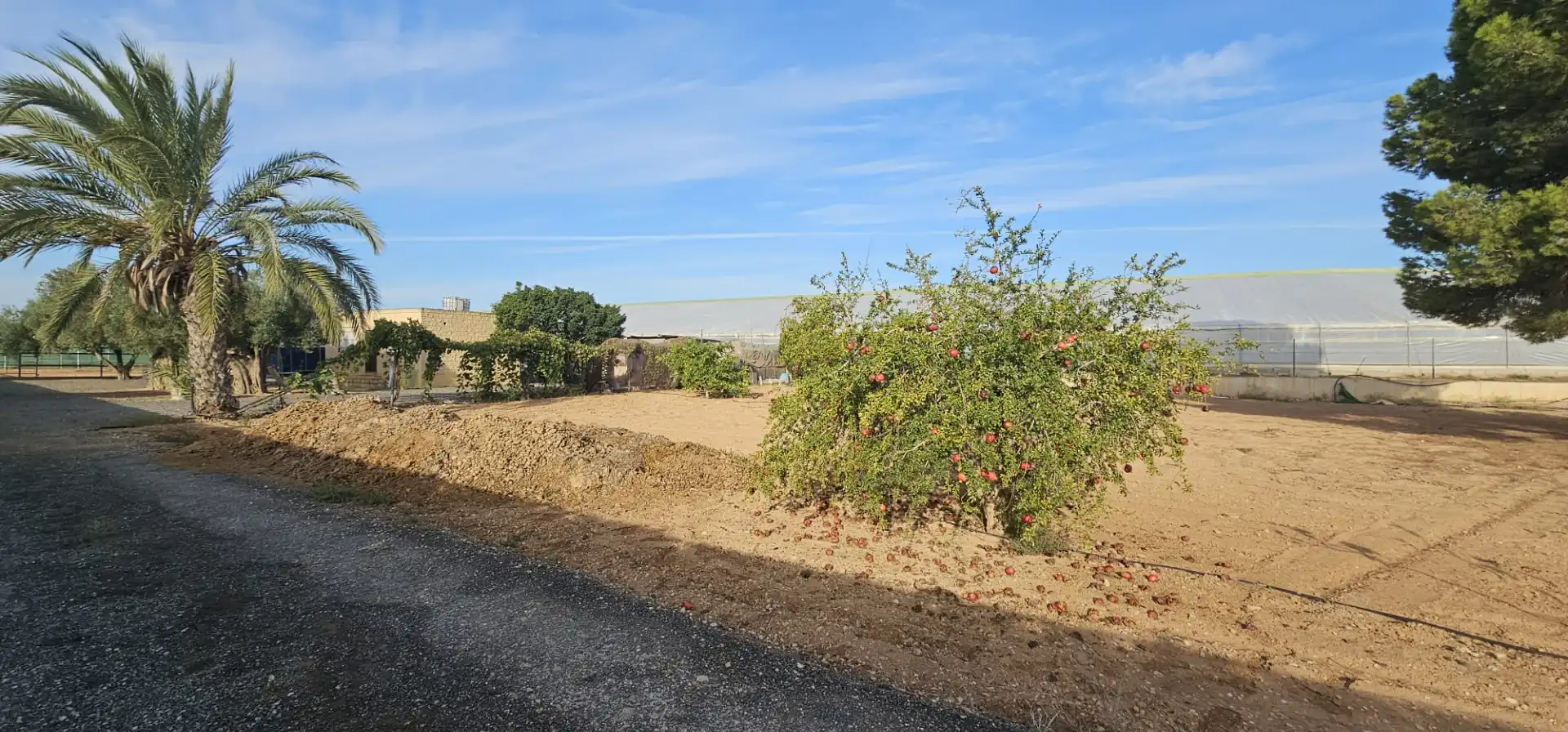 Grundstücke zum Verkauf in San Javier