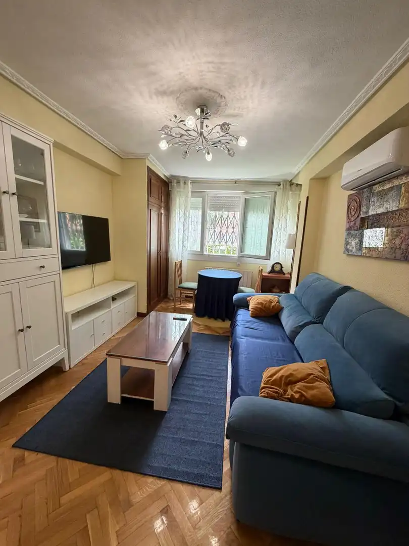 Sala de estar de Piso de alquiler en Madrid con Aire acondicionado, Calefacción y Parquet
