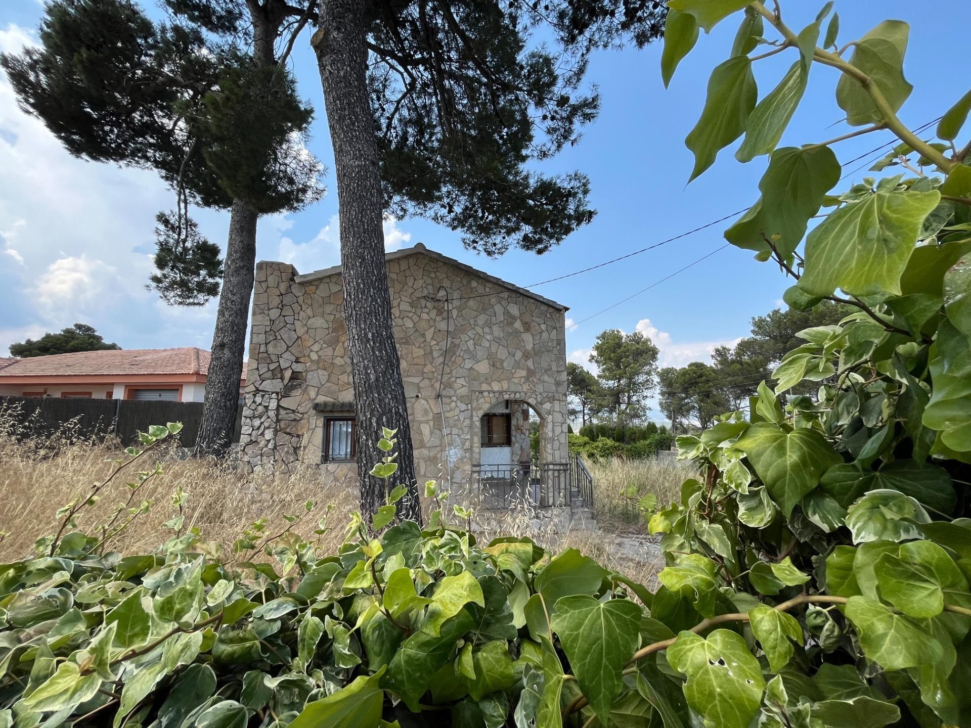 Exterior view of Country house for sale in La Torre de Claramunt  with Private garden
