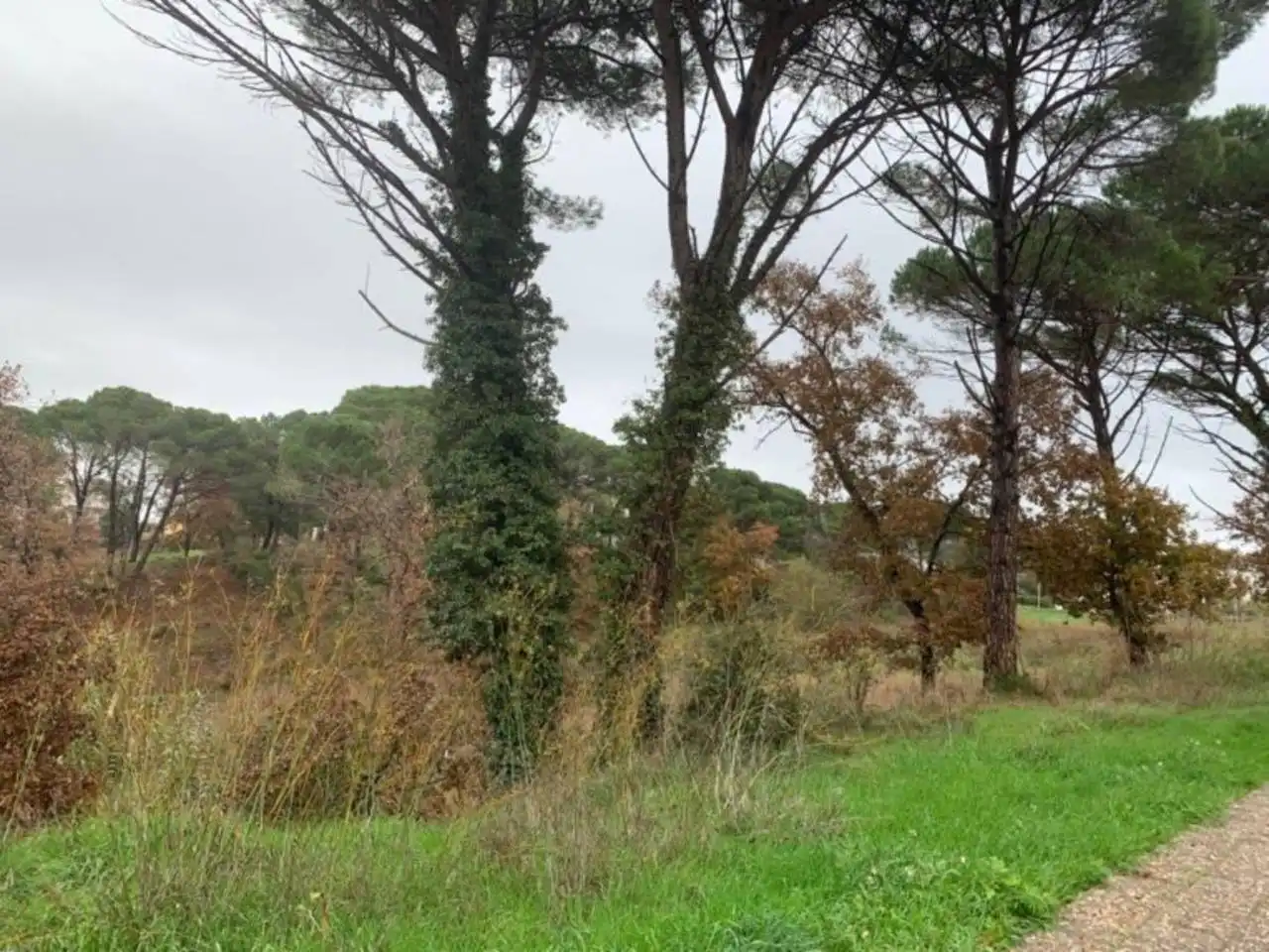 Terreny residencial en venda a Calle segria, imagen 2