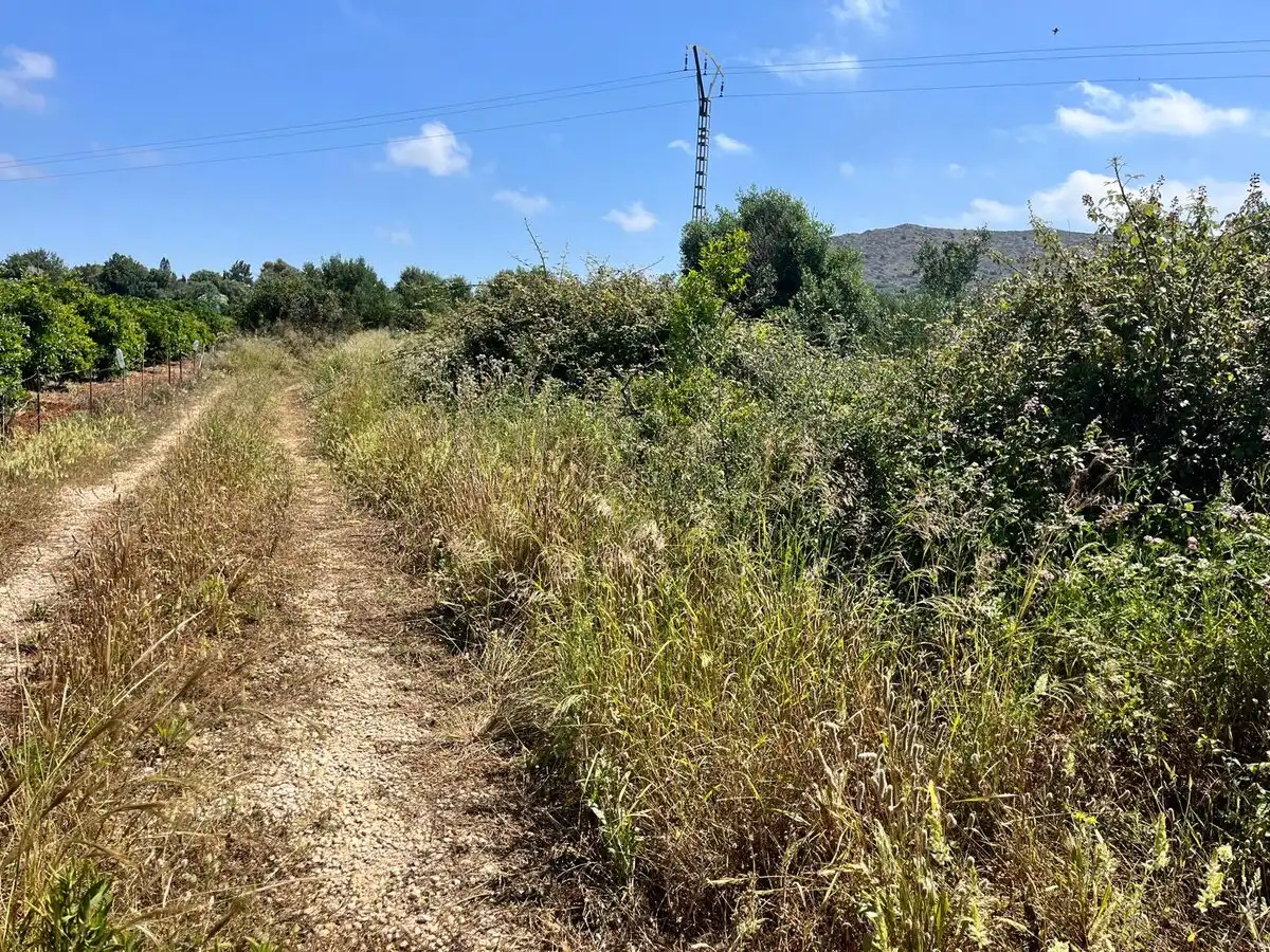 Terrenys i solars en venda a La Sella, imagen 3