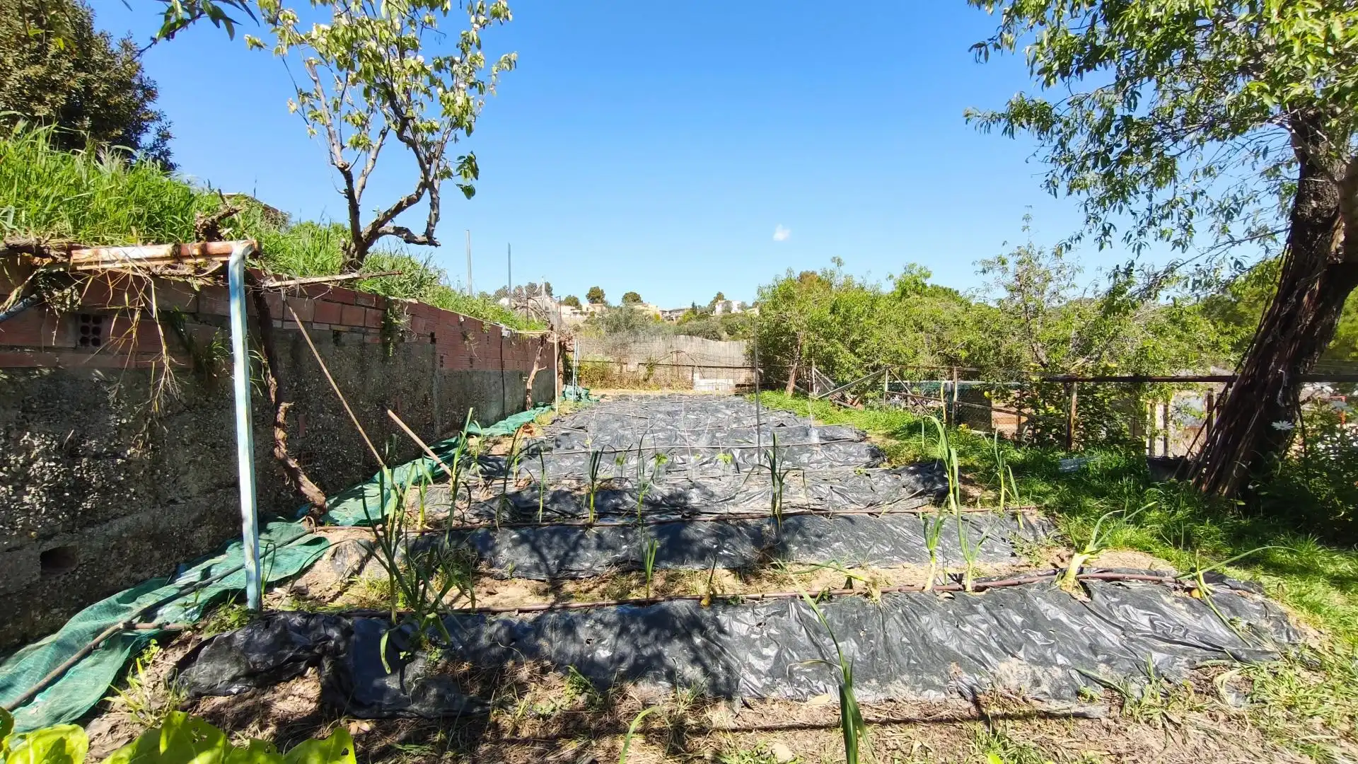 Casa o xalet en venda en Olesa de Montserrat amb Aire condicionat, Terrassa i Piscina