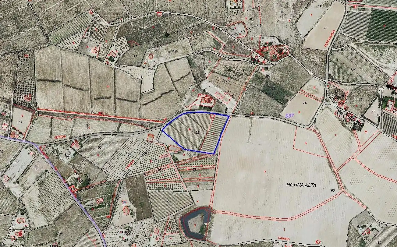 Casa o xalet en venda en Novelda amb Jardí privat i Alarma