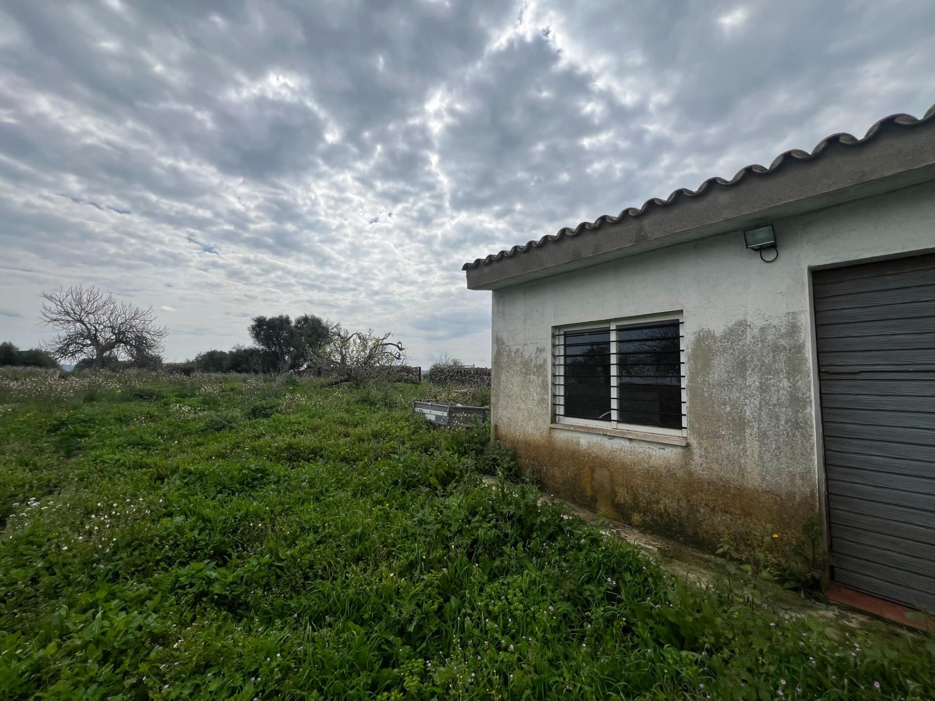 Finca rústica en venda en Santa Margalida