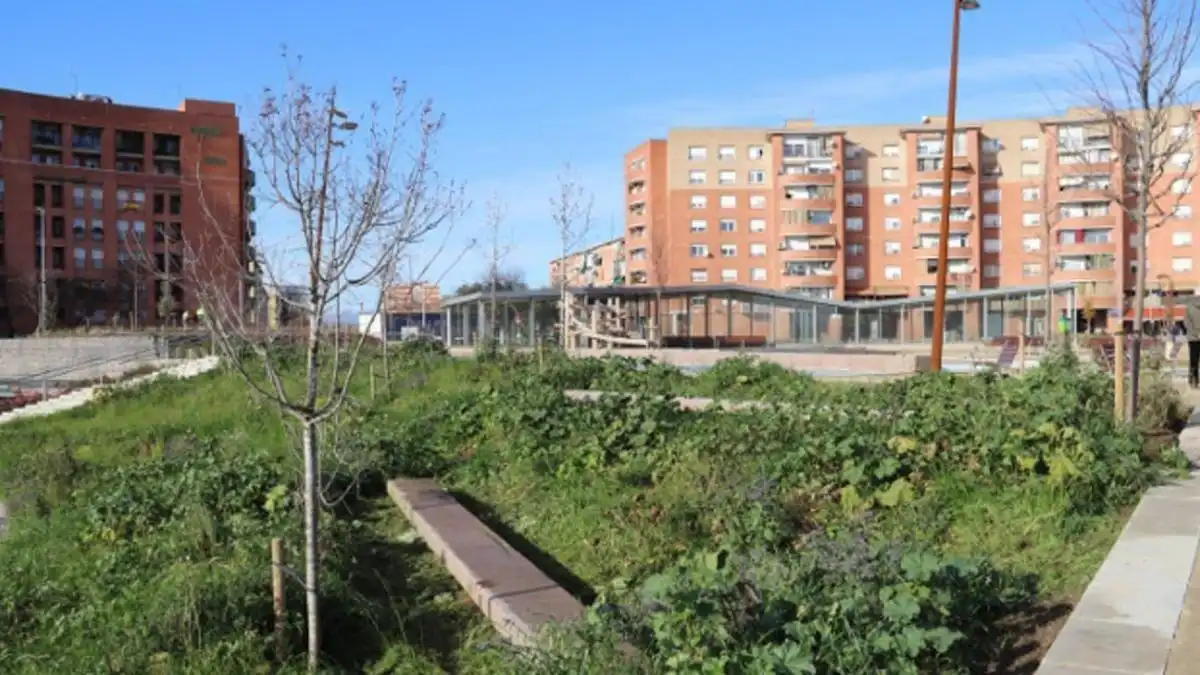 Exterior view of Flat for sale in Sabadell