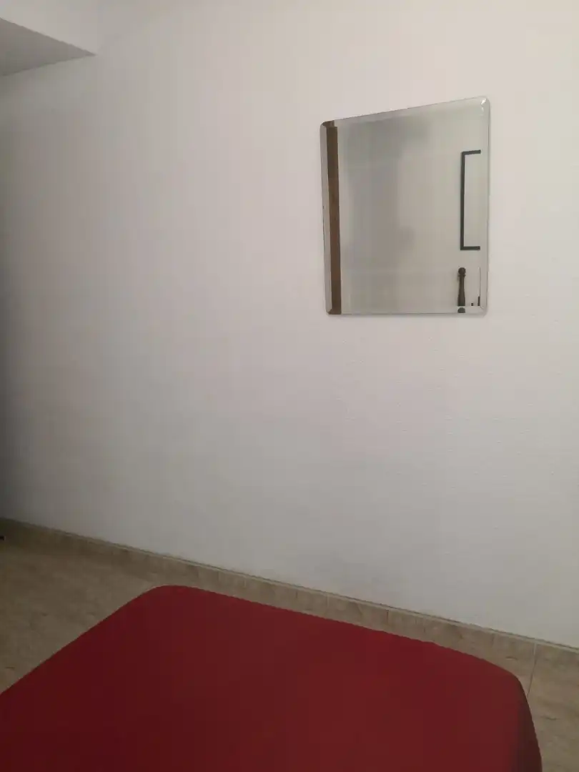 Flat for rent in Palomarejos