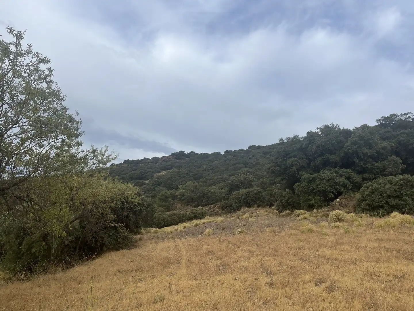 Terreno en venta en La Taha