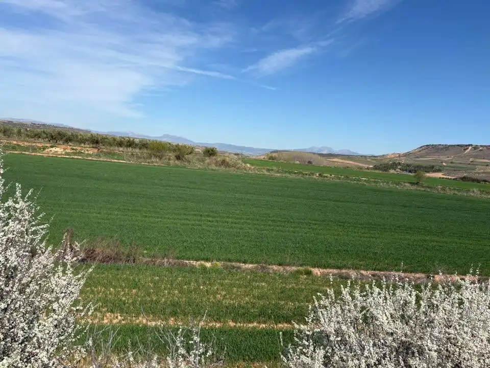Rustikales Grundstück zum Verkauf in Villamediana de Iregua, imagen 4
