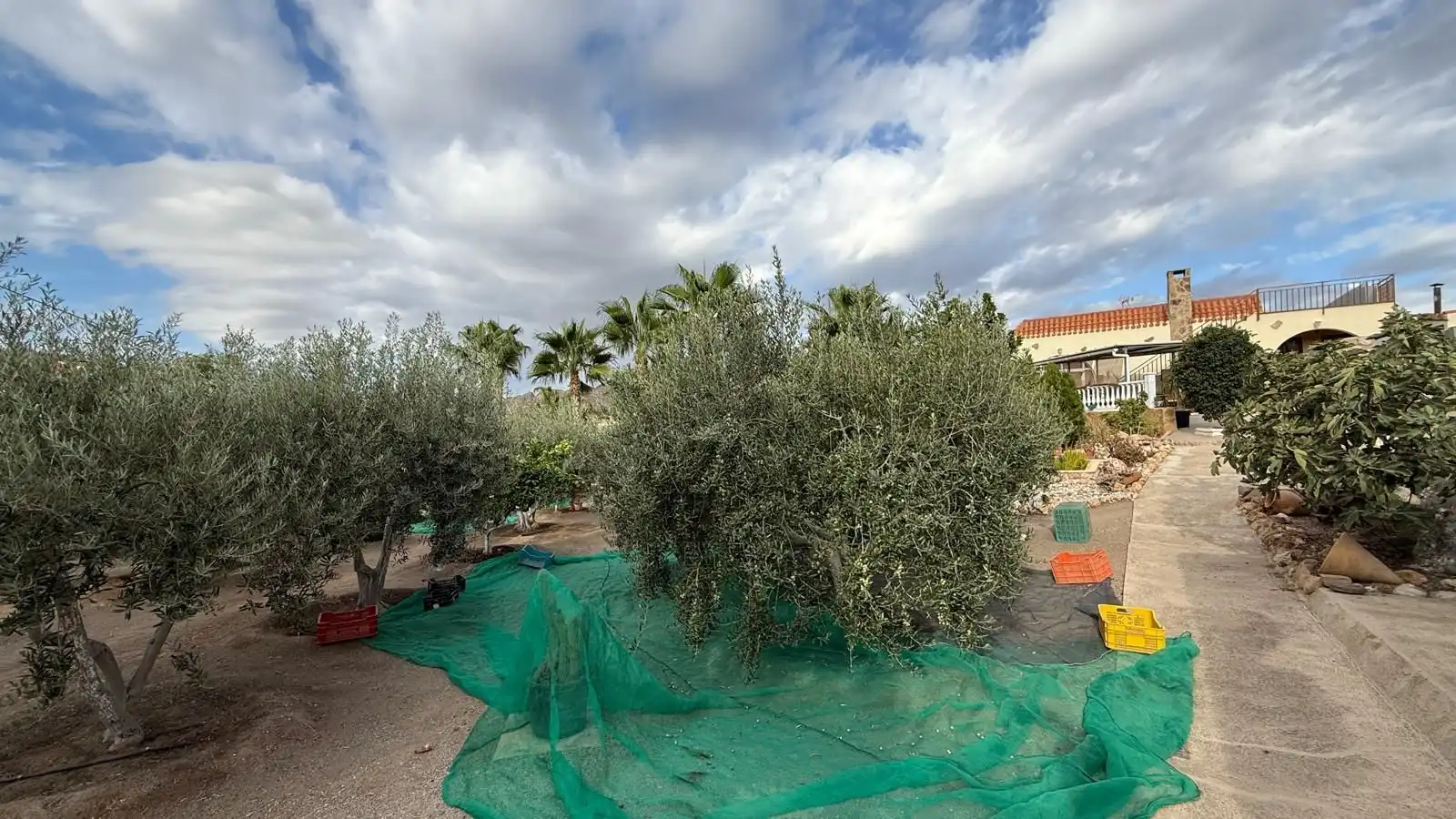 Maison rustique avec piscine à vendre à Tébar - Los Arejos, imagen 6