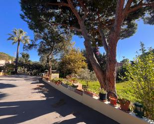 Jardí de Finca rústica en venda en Marbella amb Jardí privat, Terrassa i Piscina