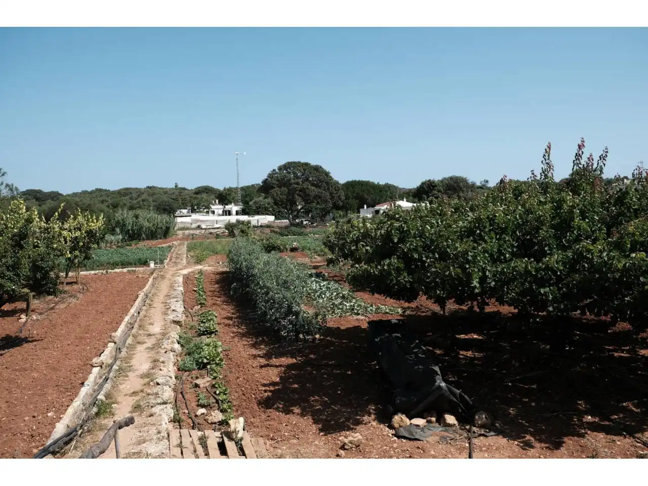 Jardín de Finca rústica en venta en Ciutadella de Menorca con Jardín privado y Piscina