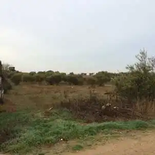 Rustikales Grundstück zum Verkauf in C/ Calle 8 Sector 1, imagen 5