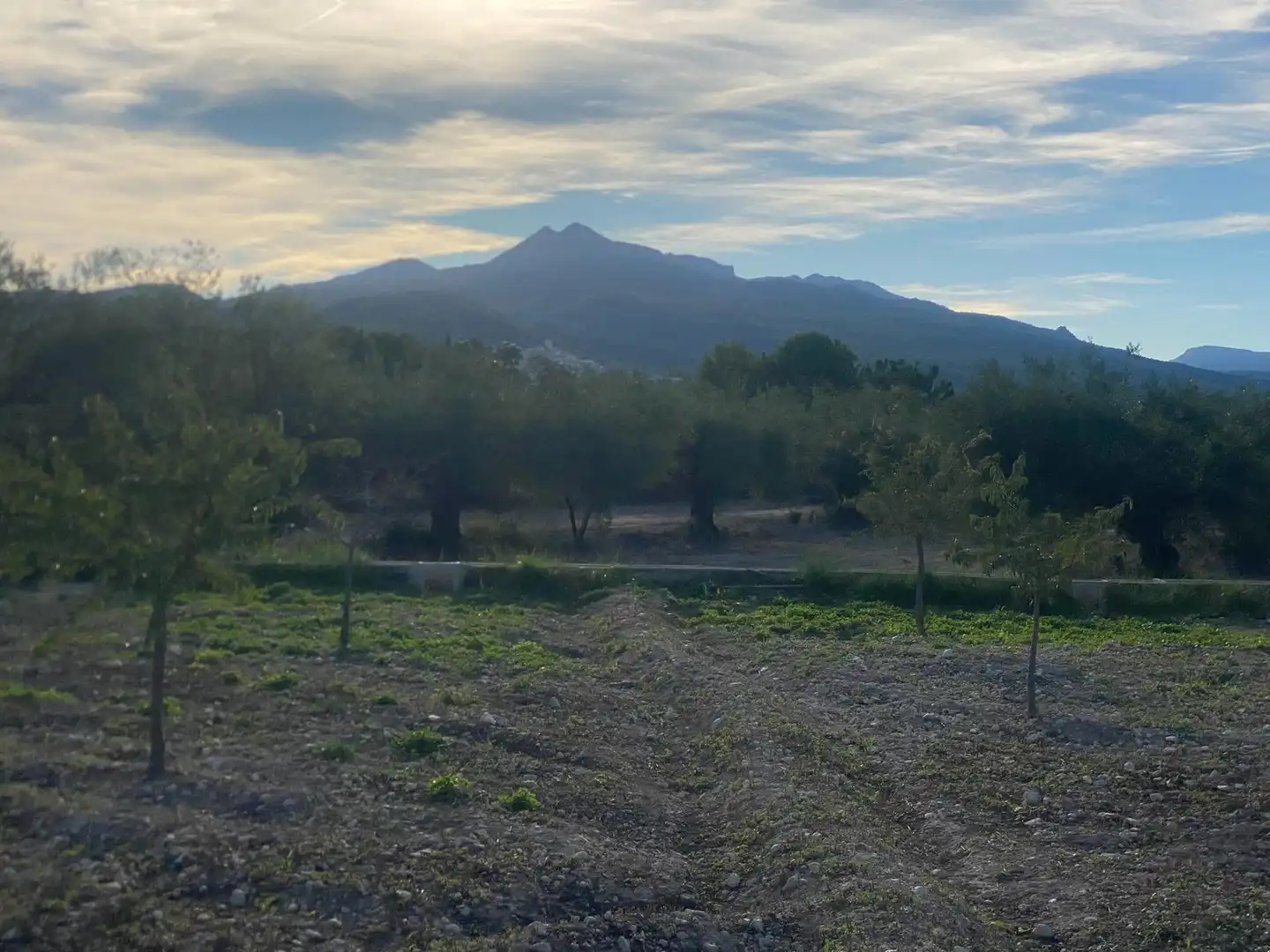 Rustikales Grundstück zum Verkauf in Moratalla, imagen 14