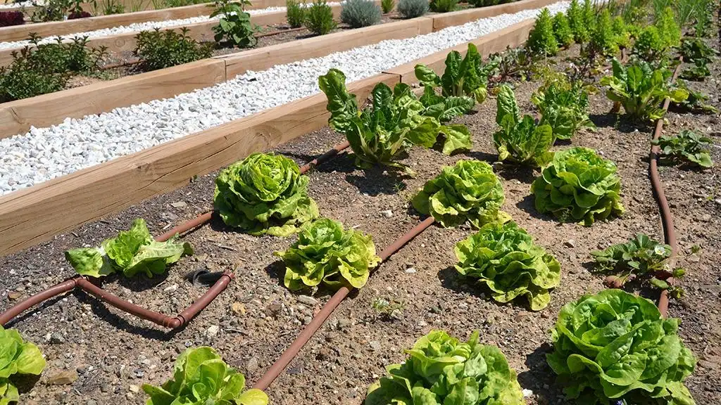 Jardín de Apartamento en venta en Fuengirola con Aire acondicionado, Calefacción y Terraza