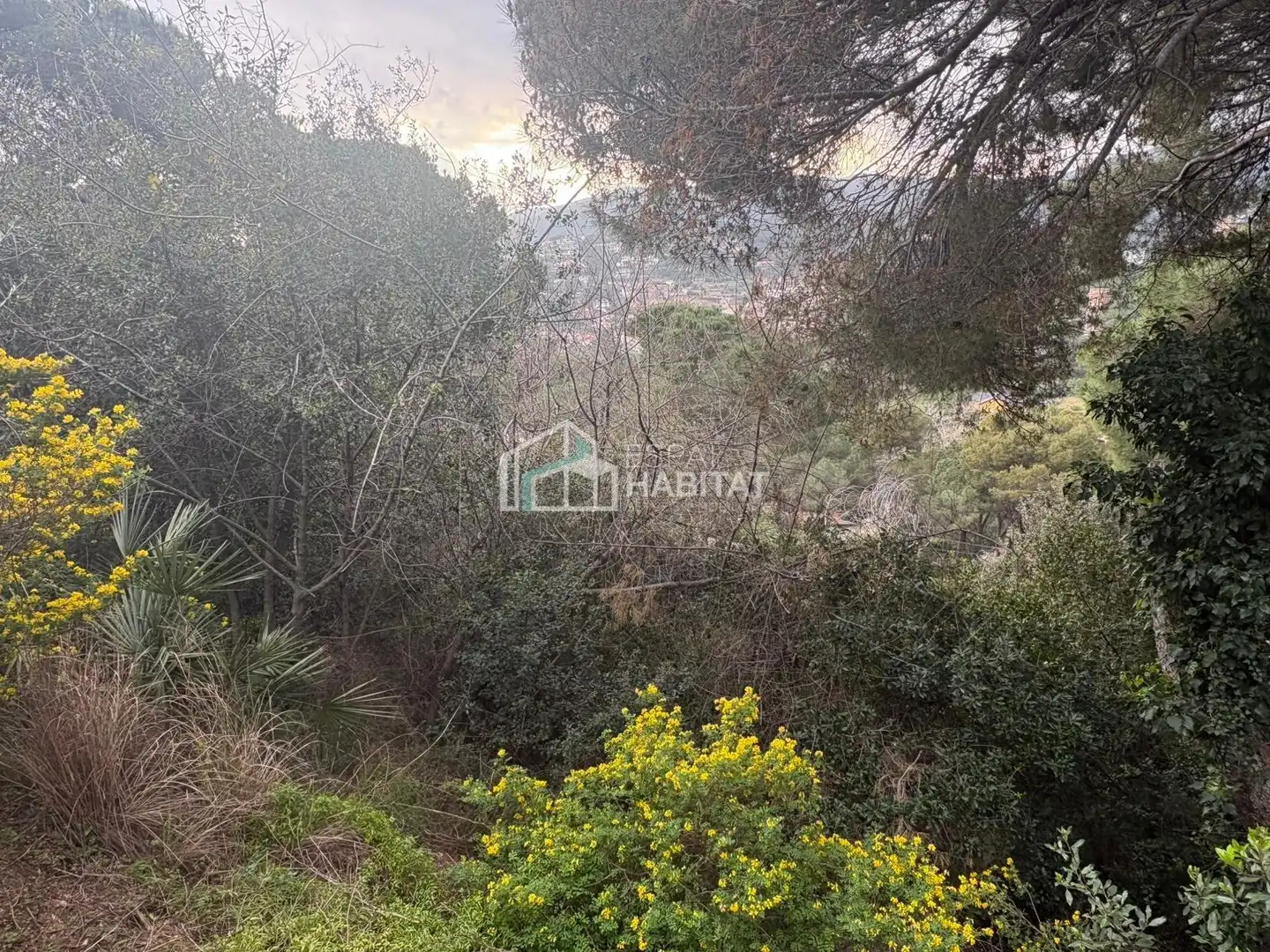 Terreny residencial en venda a Cabrils, imagen 3