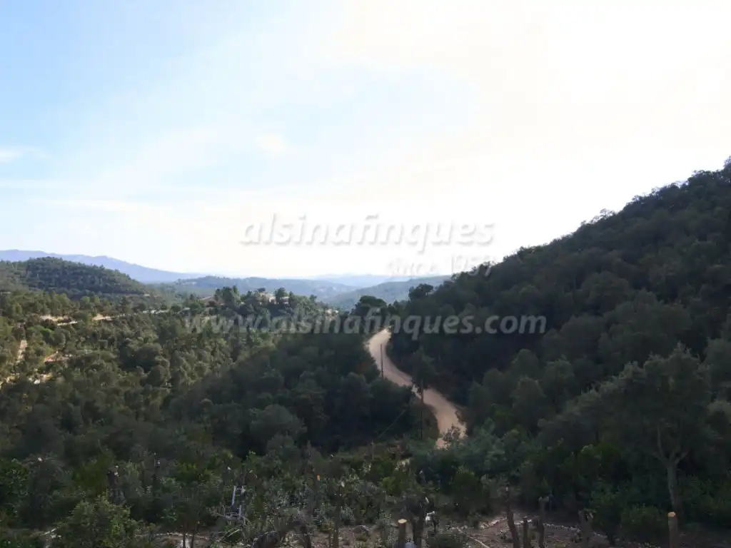 Villa mit Pool zum Verkauf in Camí de la Plana, imagen 53