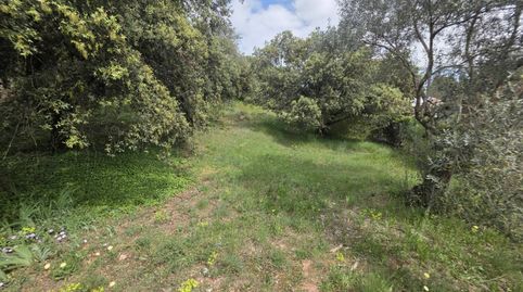 Photo 5 of Industrial land for sale in Sant Fruitós de Bages, Barcelona