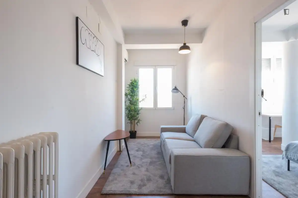 Sala de estar de Apartamento para compartir en Madrid con Amueblado, Horno y Lavadora