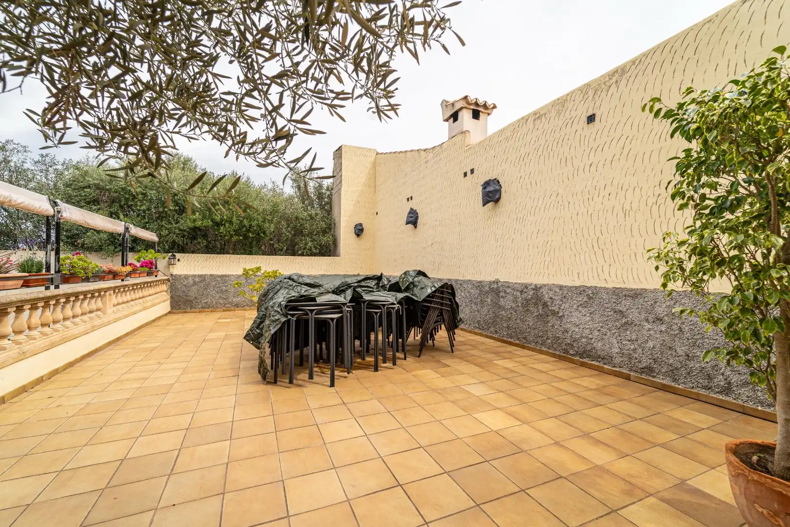 Local comercial en traspaso en Maria de la Salut, imagen 23