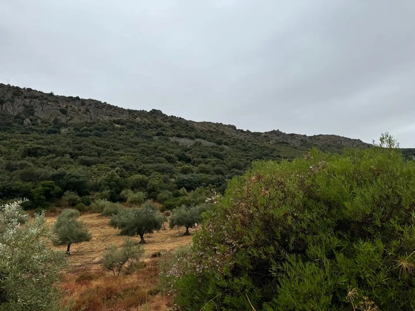 Terreni e lotti in vendita a Cabeza del Buey, imagen 7