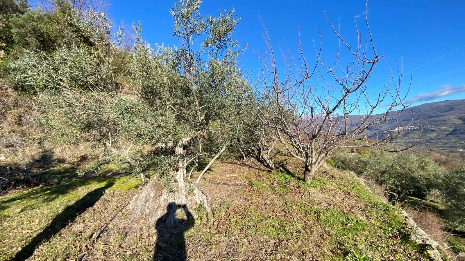 Terreni e lotti in vendita a El Torno, imagen 3