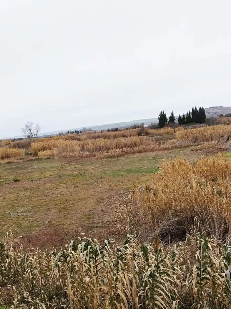 Terreno en venta en Fontellas