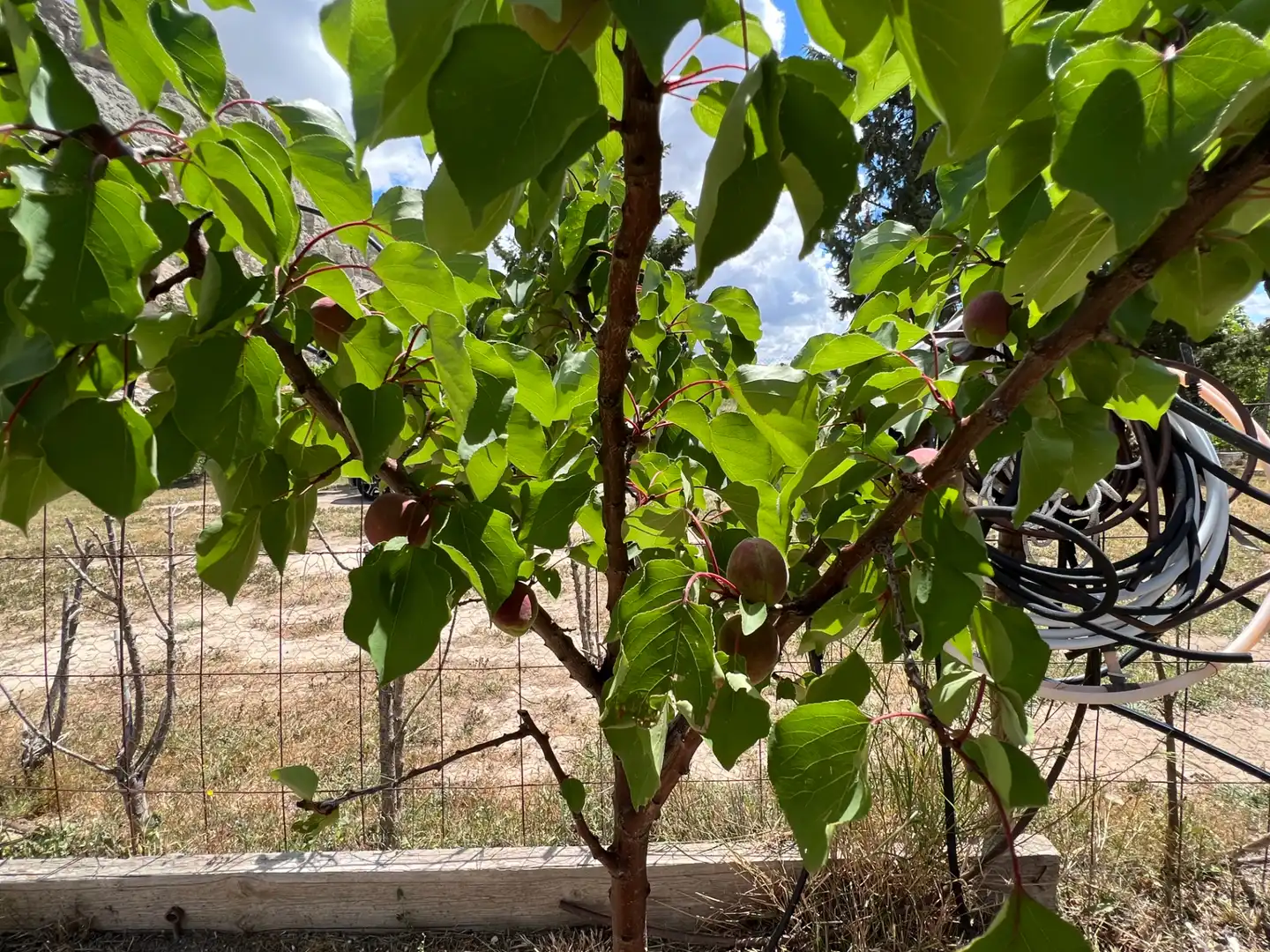 Terreni e lotti in vendita a Barrios rurales del oeste, imagen 7