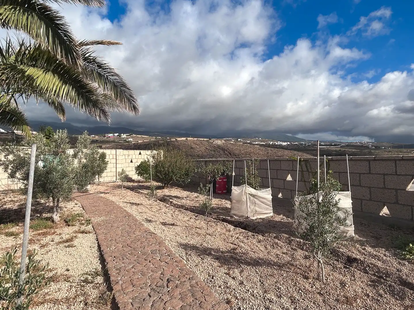 Jardí de Casa o xalet en venda en Granadilla de Abona amb Terrassa, Traster i Rentadora
