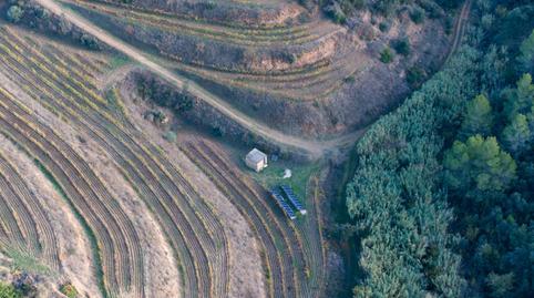 Foto 4 de Finca rústica en venda a Falset, Tarragona