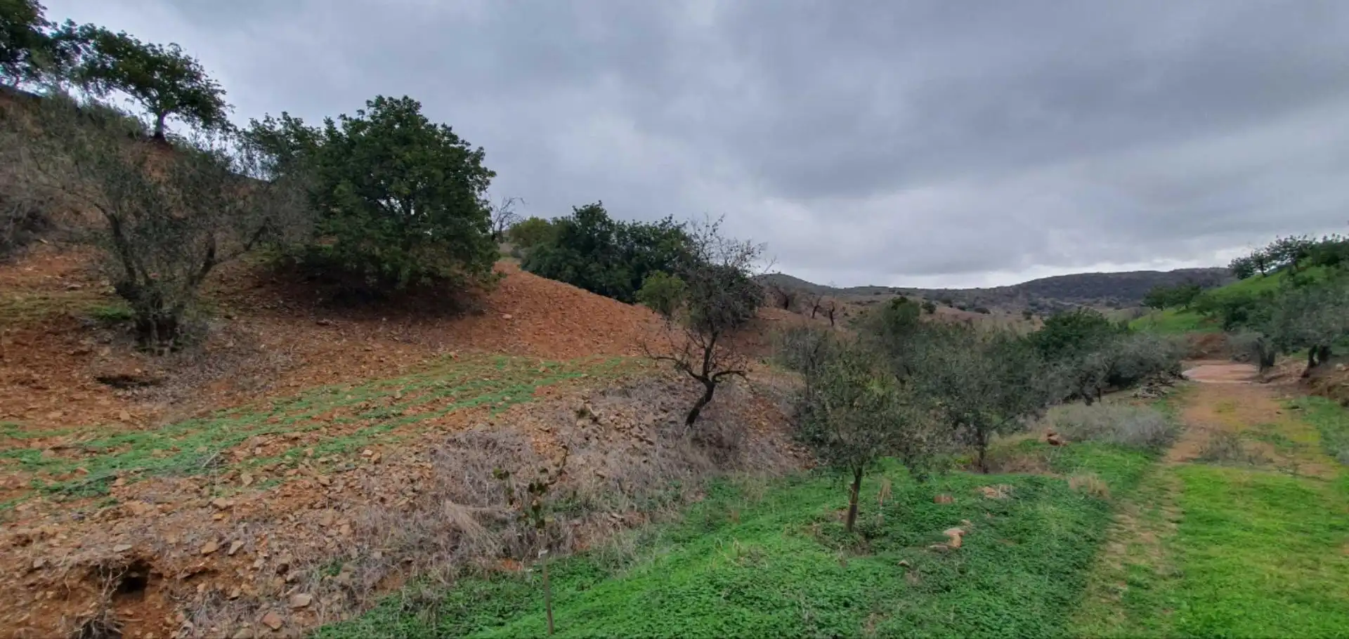 Terreni e lotti in vendita a Cártama pueblo, imagen 14