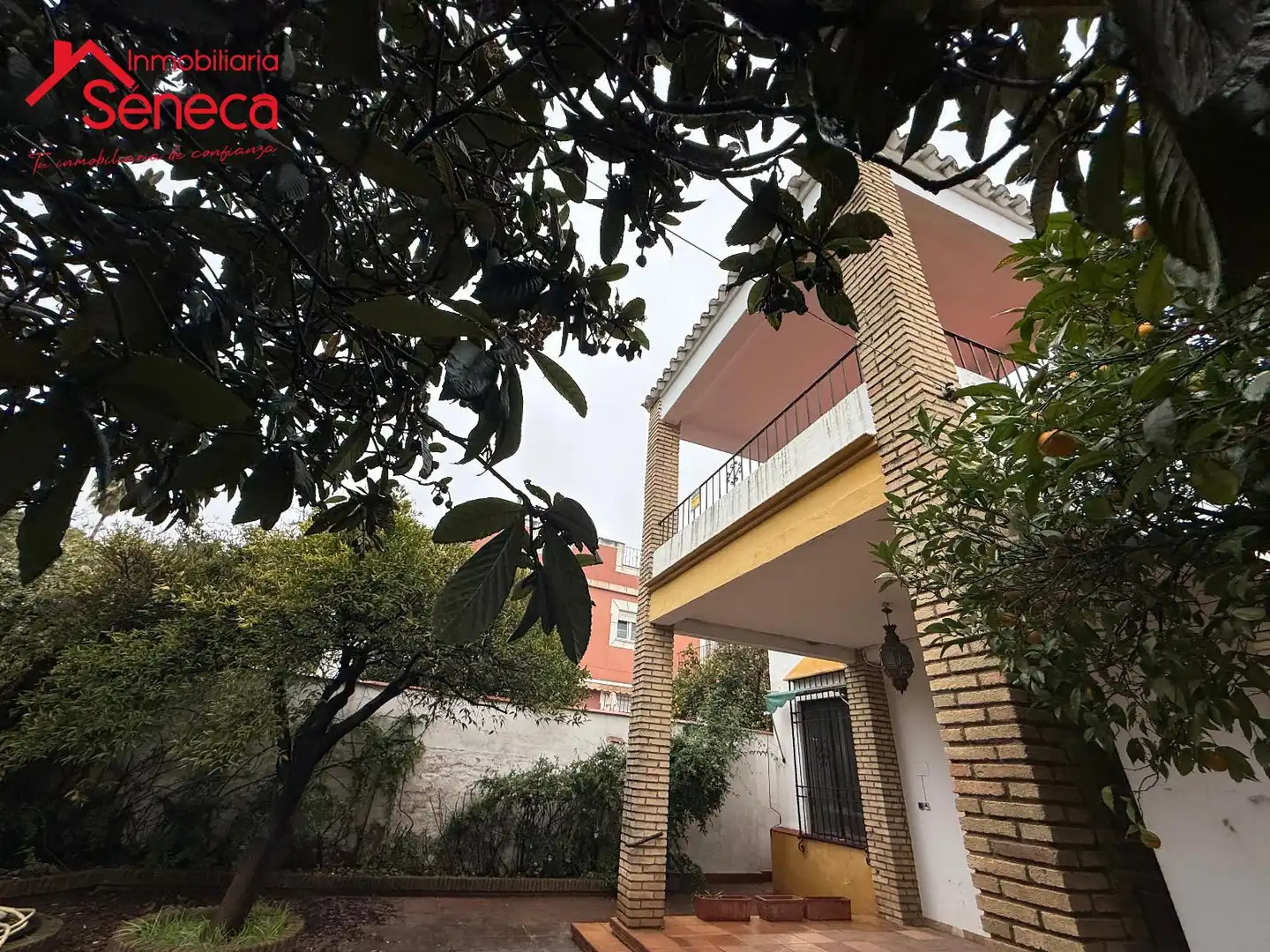 Exterior view of Houses for sale in Córdoba  with Swimming Pool