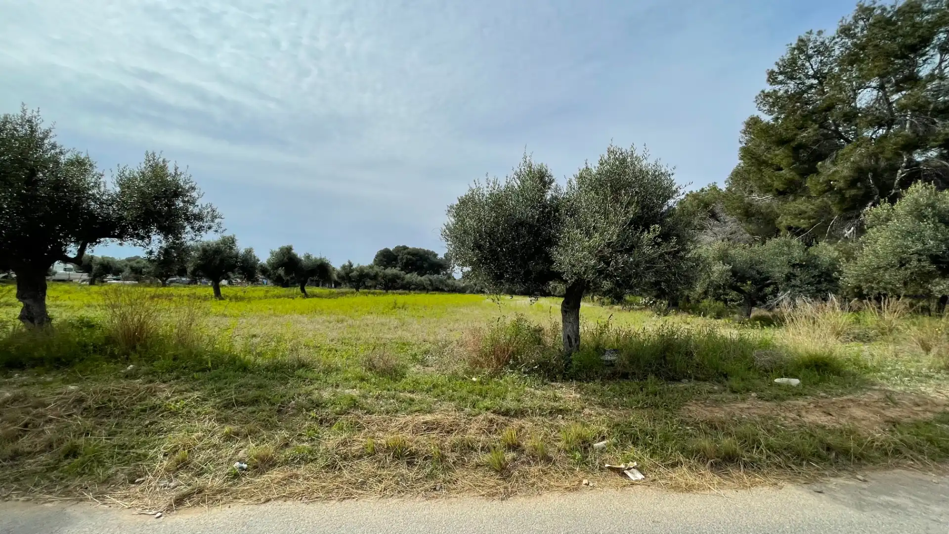 Grundstücke zum Verkauf in Cambrils
