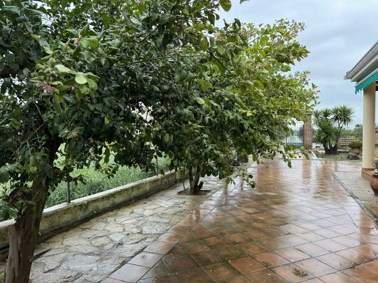 Chalet en venta en Villanueva de la Serena, imagen 19