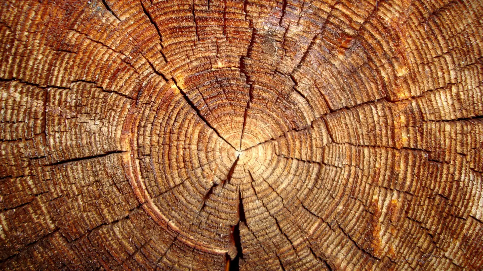 Terreno rustico in vendita a Riudecols, imagen 6