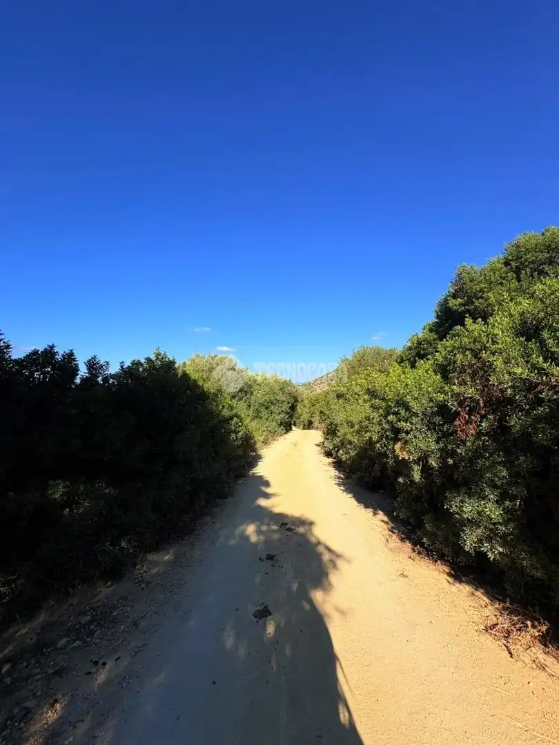 Terreno rustico in vendita a Vejer, imagen 17
