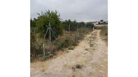 Photo 4 of Land for sale in El Rocío - La Milagrosa, Cádiz